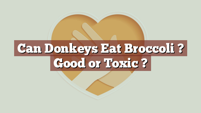 Can Donkeys Eat Broccoli ? Good or Toxic ?