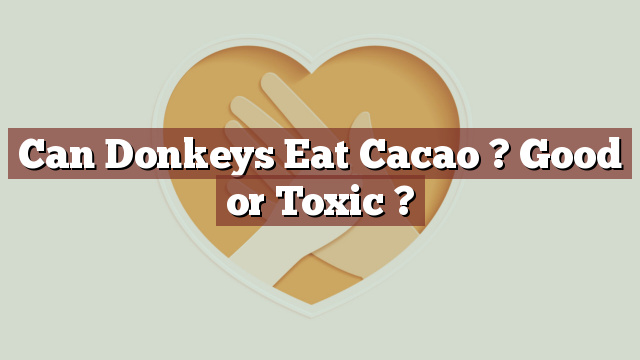 Can Donkeys Eat Cacao ? Good or Toxic ?