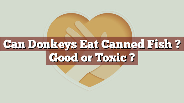 Can Donkeys Eat Canned Fish ? Good or Toxic ?
