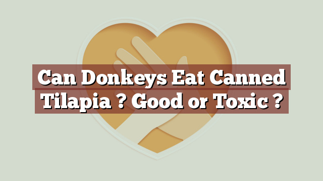 Can Donkeys Eat Canned Tilapia ? Good or Toxic ?