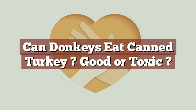 Can Donkeys Eat Canned Turkey ? Good or Toxic ?