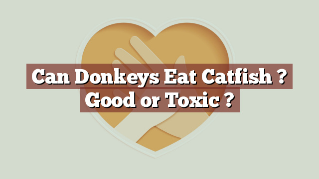 Can Donkeys Eat Catfish ? Good or Toxic ?