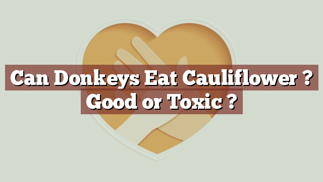 Can Donkeys Eat Cauliflower ? Good or Toxic ?
