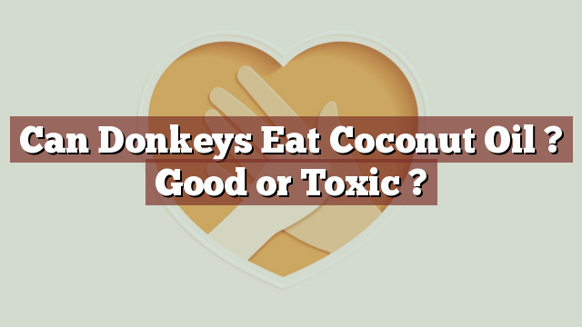 Can Donkeys Eat Coconut Oil ? Good or Toxic ?