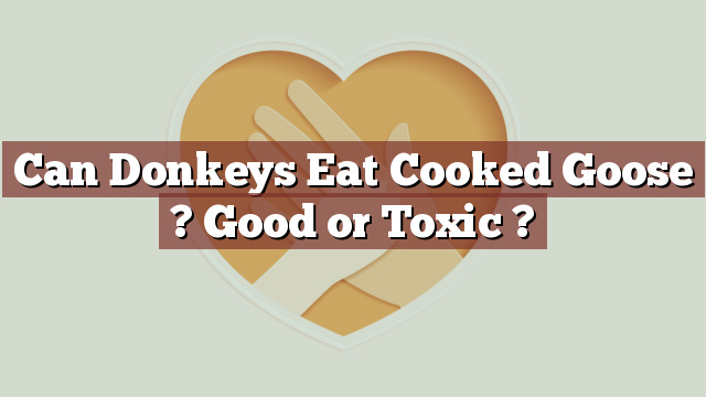 Can Donkeys Eat Cooked Goose ? Good or Toxic ?