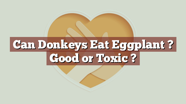 Can Donkeys Eat Eggplant ? Good or Toxic ?