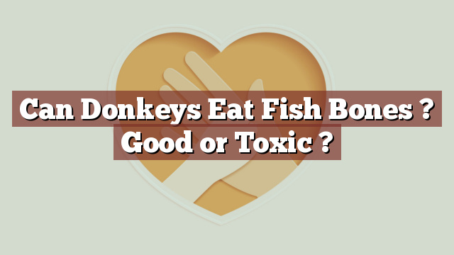 Can Donkeys Eat Fish Bones ? Good or Toxic ?