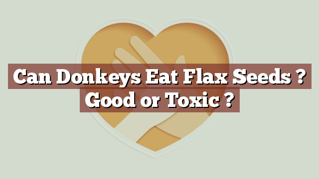 Can Donkeys Eat Flax Seeds ? Good or Toxic ?