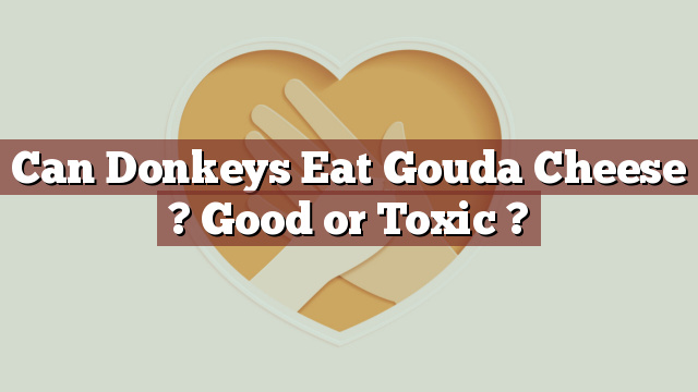 Can Donkeys Eat Gouda Cheese ? Good or Toxic ?