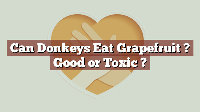 Can Donkeys Eat Grapefruit ? Good or Toxic ?