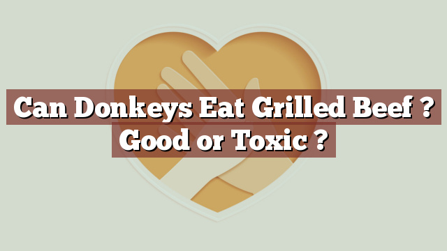 Can Donkeys Eat Grilled Beef ? Good or Toxic ?