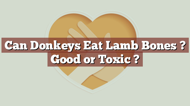 Can Donkeys Eat Lamb Bones ? Good or Toxic ?