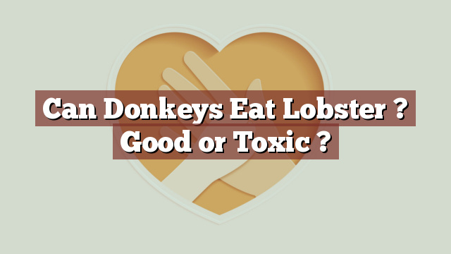 Can Donkeys Eat Lobster ? Good or Toxic ?