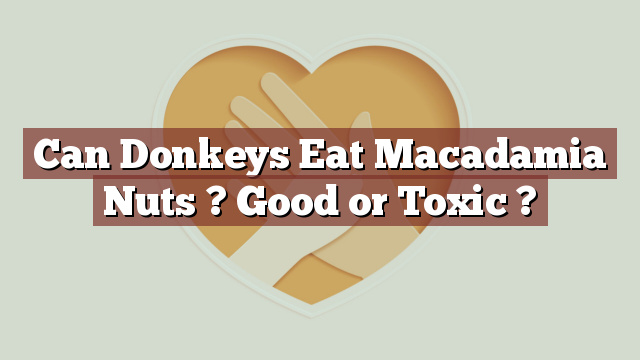 Can Donkeys Eat Macadamia Nuts ? Good or Toxic ?