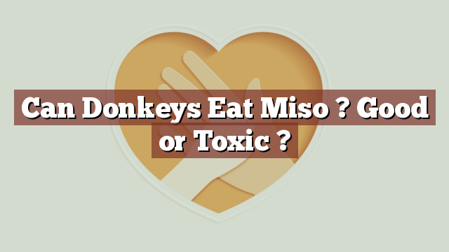Can Donkeys Eat Miso ? Good or Toxic ?