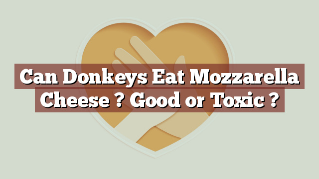 Can Donkeys Eat Mozzarella Cheese ? Good or Toxic ?