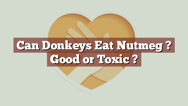 Can Donkeys Eat Nutmeg ? Good or Toxic ?