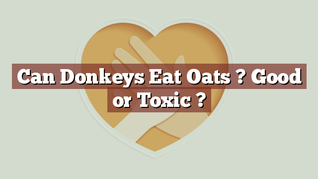 Can Donkeys Eat Oats ? Good or Toxic ?