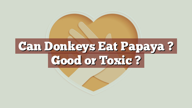 Can Donkeys Eat Papaya ? Good or Toxic ?