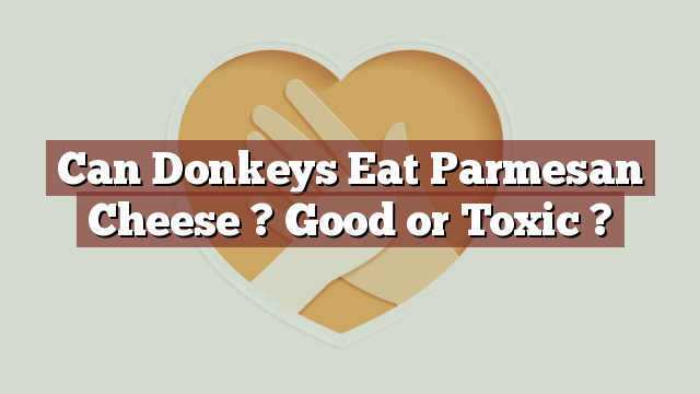Can Donkeys Eat Parmesan Cheese ? Good or Toxic ?