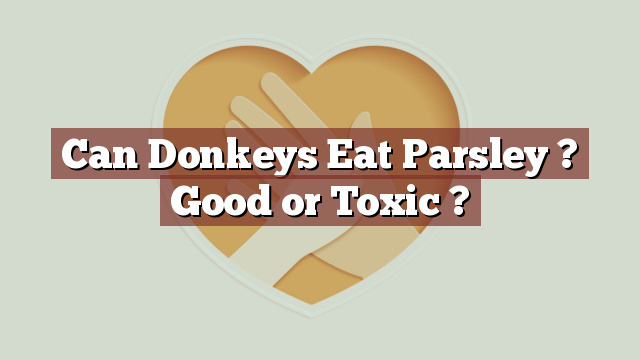 Can Donkeys Eat Parsley ? Good or Toxic ?