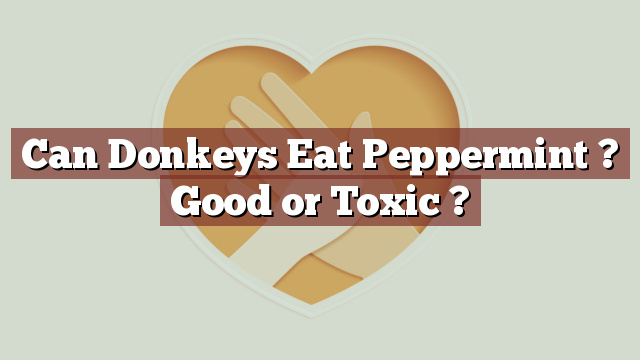 Can Donkeys Eat Peppermint ? Good or Toxic ?