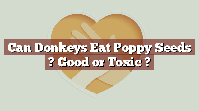 Can Donkeys Eat Poppy Seeds ? Good or Toxic ?