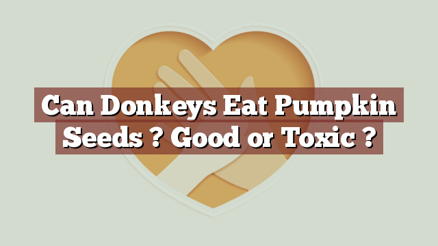 Can Donkeys Eat Pumpkin Seeds ? Good or Toxic ?