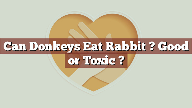 Can Donkeys Eat Rabbit ? Good or Toxic ?