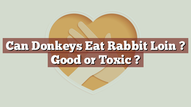 Can Donkeys Eat Rabbit Loin ? Good or Toxic ?