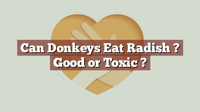 Can Donkeys Eat Radish ? Good or Toxic ?