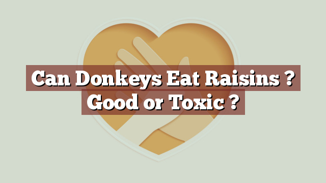 Can Donkeys Eat Raisins ? Good or Toxic ?