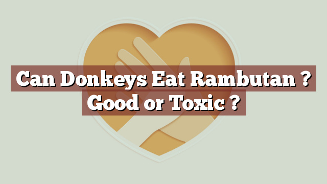 Can Donkeys Eat Rambutan ? Good or Toxic ?