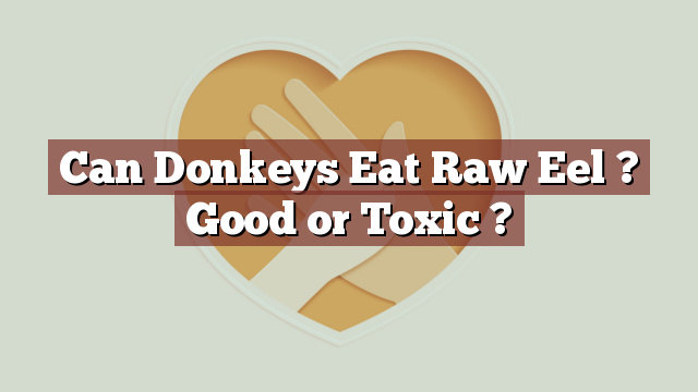 Can Donkeys Eat Raw Eel ? Good or Toxic ?