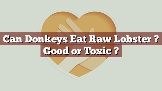 Can Donkeys Eat Raw Lobster ? Good or Toxic ?