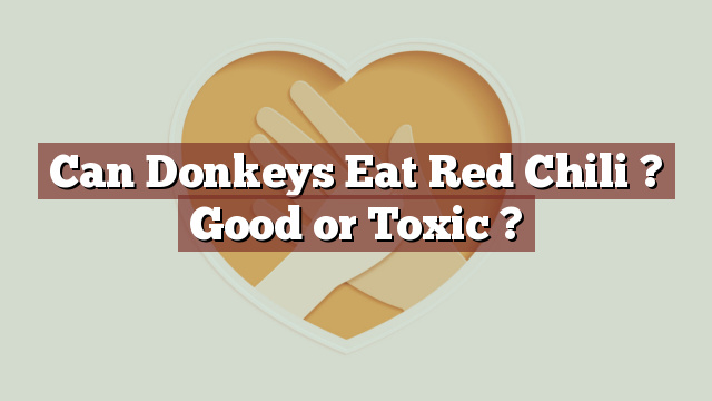 Can Donkeys Eat Red Chili ? Good or Toxic ?