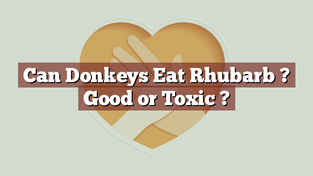 Can Donkeys Eat Rhubarb ? Good or Toxic ?