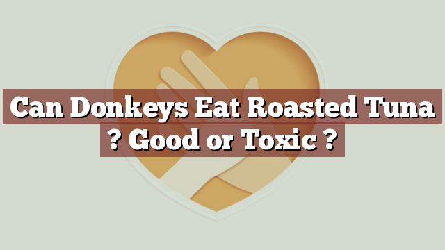 Can Donkeys Eat Roasted Tuna ? Good or Toxic ?