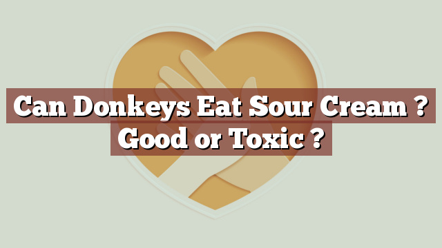 Can Donkeys Eat Sour Cream ? Good or Toxic ?