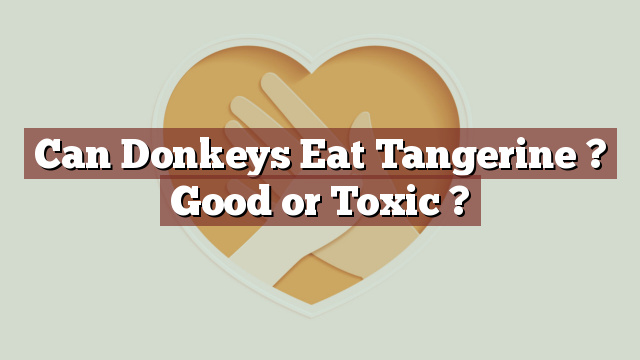 Can Donkeys Eat Tangerine ? Good or Toxic ?