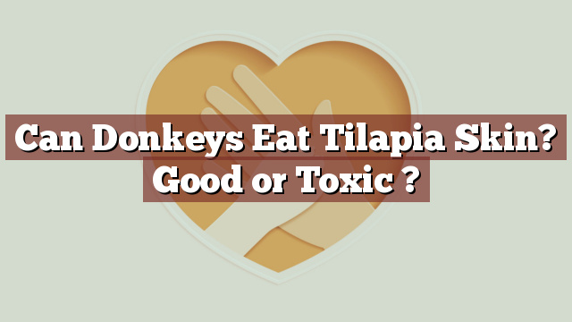 Can Donkeys Eat Tilapia Skin? Good or Toxic ?