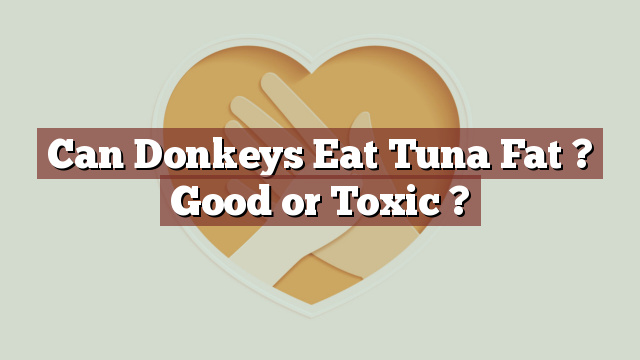 Can Donkeys Eat Tuna Fat ? Good or Toxic ?