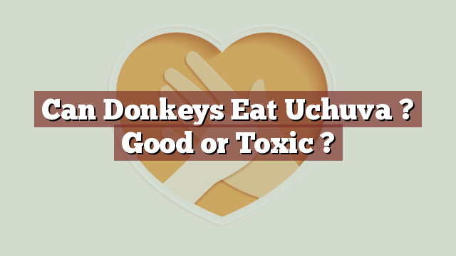 Can Donkeys Eat Uchuva ? Good or Toxic ?