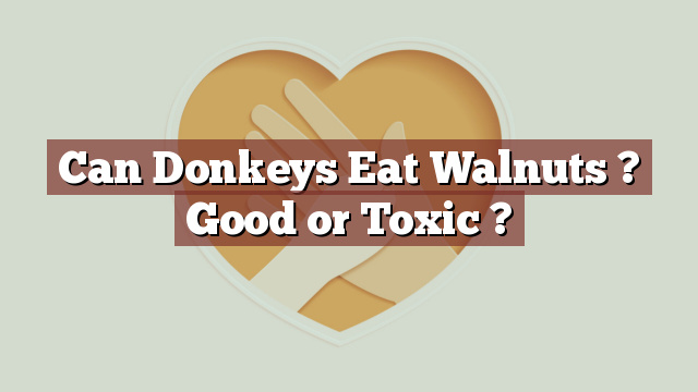 Can Donkeys Eat Walnuts ? Good or Toxic ?